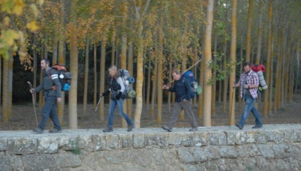 Banner image