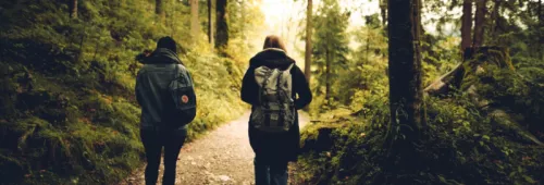 Forest Friends Friendship 591216