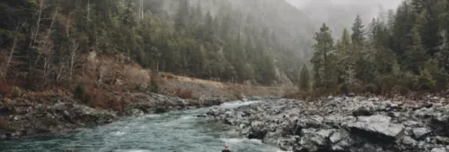 Screenshot2018 12 18at15 43 36