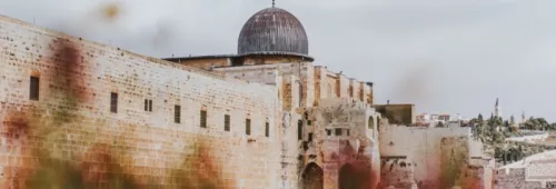 Cole keister unsplash