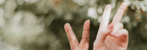 Priscilla du preez wf3p6 JWDW6 Q unsplash