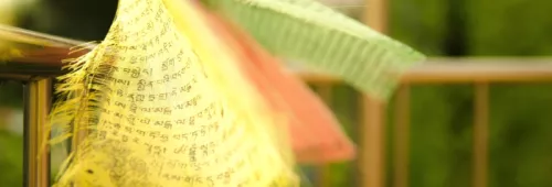 Nickey Kolev 482468 Unsplash