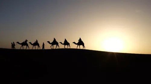 Inbal malca Nhl Kx6 Uvm3 E unsplash 2