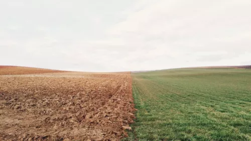 Elizabeth lies Ybg P Wf Wlvk E unsplash