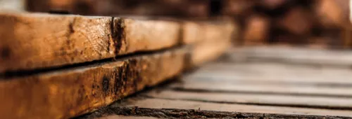 Abstract Blur Close Up 281513