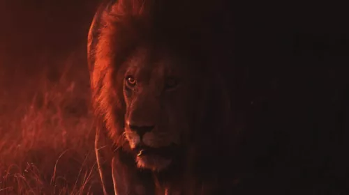 Keyur nandaniya B0 Vd Y1yd F Q unsplash