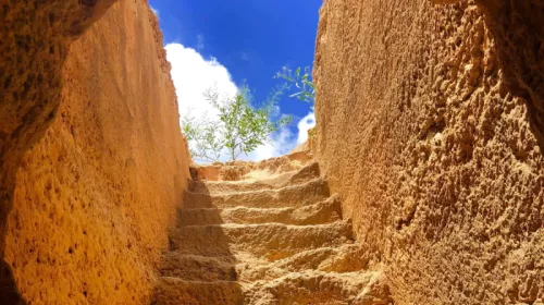 Simon wood Vhl Uwbkdl A unsplash