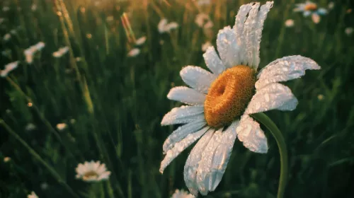 Aaron burden n J2 YC Cn Vp6k unsplash