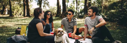 Chatting Cups Dog 745045