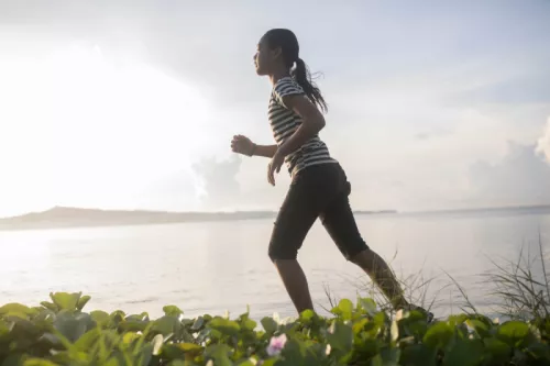 CC ID011500542 24 2105