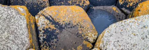 Mick haupt zk vk7omx4 M unsplash