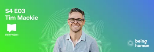 BH S4 E Aweb banners