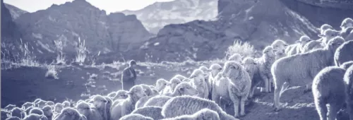 Screenshot 2023 11 27 at 12 51 28