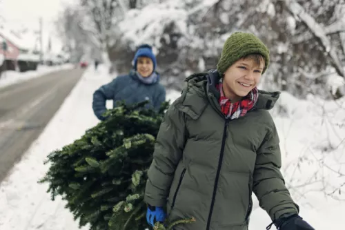 Boys carrying Christmas tree
