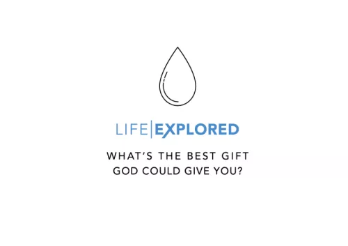 Le logo full non transparent