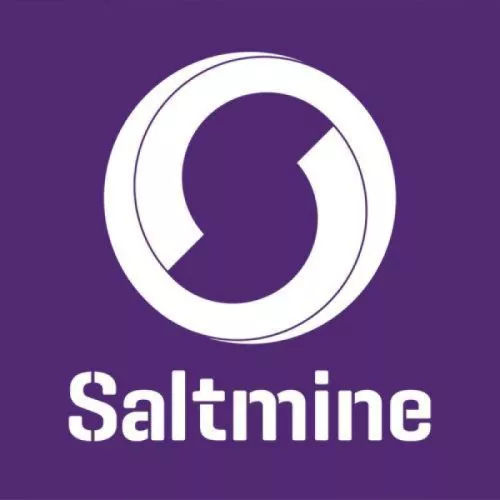 Saltmine theatre company