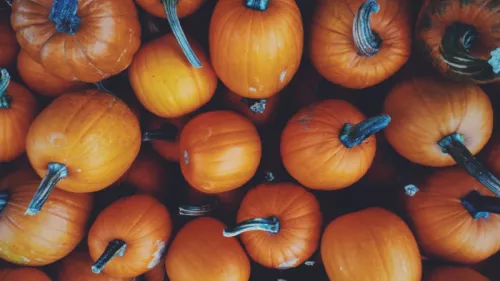 Halloween john silliman 147938 1067x600