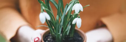 Screenshot 2023 03 31 at 15 09 27